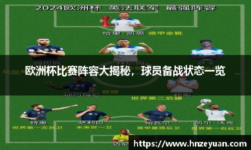 NG体育官网