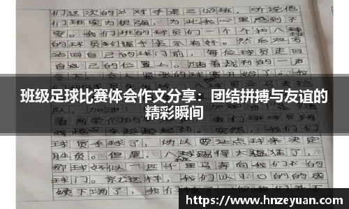 NG体育官网