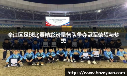 NG体育官网