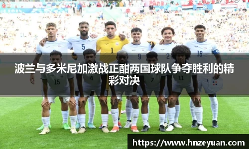 NG体育官网
