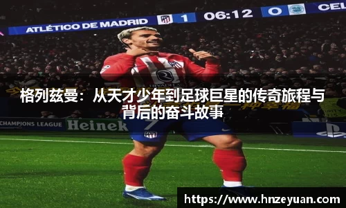 NG体育官网