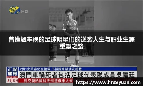 NG体育官网