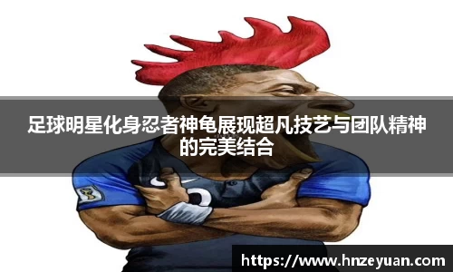 NG体育官方网站