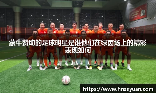 NG体育官方网站